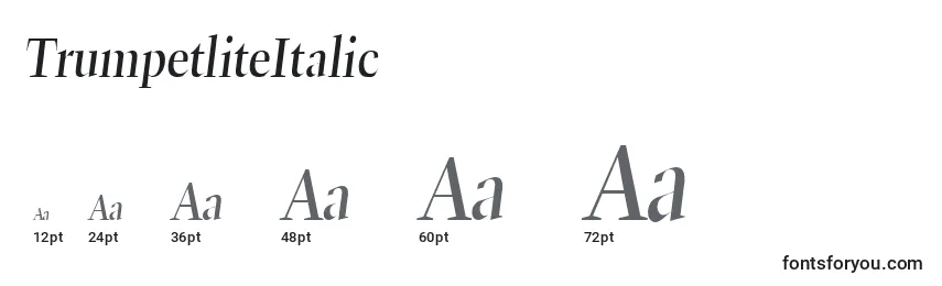 Размеры шрифта TrumpetliteItalic