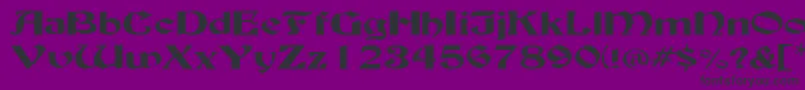 BuckinghamwideRegular Font – Black Fonts on Purple Background