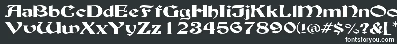 Подробнее о шрифте BuckinghamwideRegular Шрифт BuckinghamwideRegular – белые шрифты