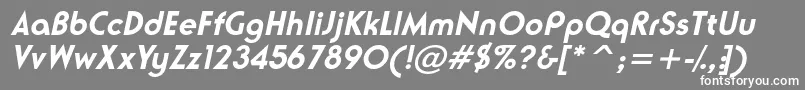 NeusesskBolditalic Font – White Fonts on Gray Background