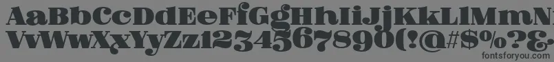 FatFlamingo5Overlay Font – Black Fonts on Gray Background
