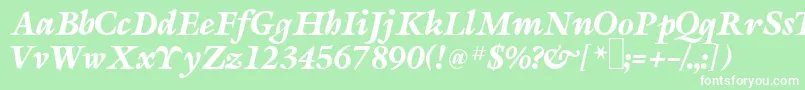 S690RomanRegular Font – White Fonts on Green Background