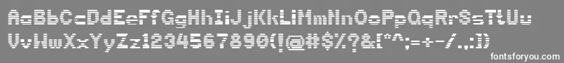 DsTerminal Font – White Fonts on Gray Background