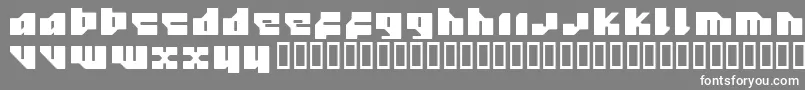 フォント12.20 – 灰色の背景に白い文字