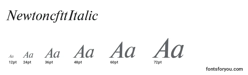 Размеры шрифта NewtoncfttItalic