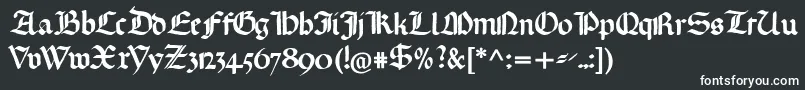 Gotischemissalschriftフォントについての詳細 フォントGotischemissalschrift – 白い文字