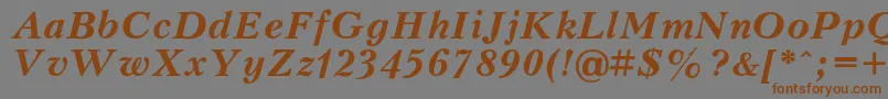 More about Petert Font Petert Font – Brown Fonts on Gray Background
