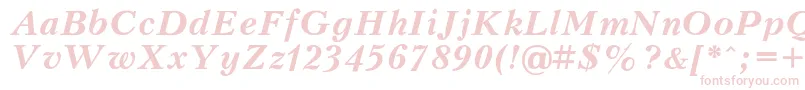 Petert Font – Pink Fonts on White Background