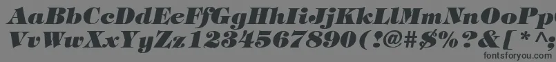 Шрифт TiffanyHeavyItalic – чёрные шрифты на сером фоне