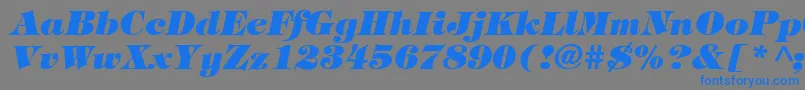 TiffanyHeavyItalic Font – Blue Fonts on Gray Background