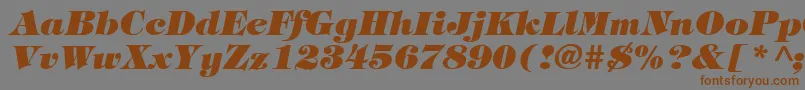 TiffanyHeavyItalic Font – Brown Fonts on Gray Background