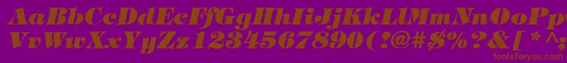 TiffanyHeavyItalic Font – Brown Fonts on Purple Background