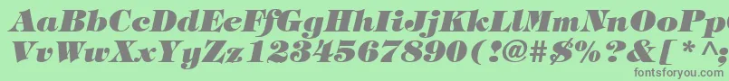 TiffanyHeavyItalic Font – Gray Fonts on Green Background