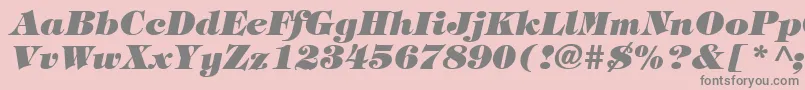 TiffanyHeavyItalic Font – Gray Fonts on Pink Background