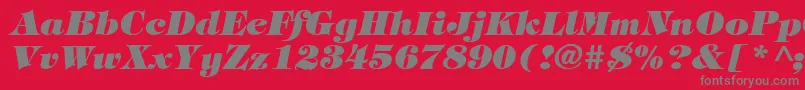 Шрифт TiffanyHeavyItalic – серые шрифты на красном фоне