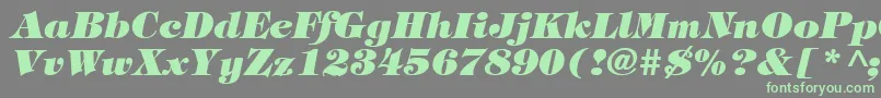 TiffanyHeavyItalic-Schriftart – Grüne Schriften auf grauem Hintergrund