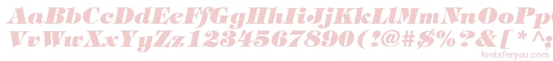 TiffanyHeavyItalic Font – Pink Fonts on White Background