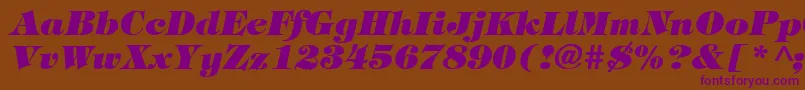 TiffanyHeavyItalic Font – Purple Fonts on Brown Background