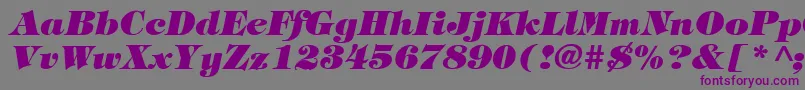 TiffanyHeavyItalic Font – Purple Fonts on Gray Background