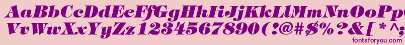 TiffanyHeavyItalic Font – Purple Fonts on Pink Background