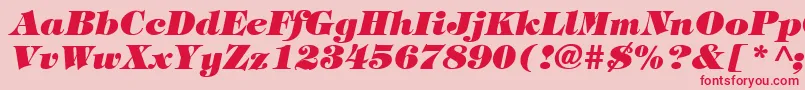 Czcionka TiffanyHeavyItalic – czerwone czcionki na różowym tle