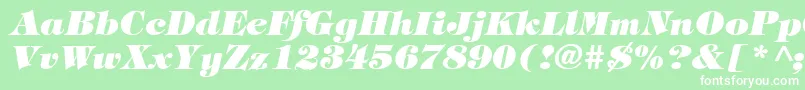 TiffanyHeavyItalic Font – White Fonts on Green Background