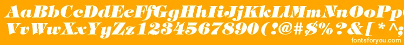 TiffanyHeavyItalic Font – White Fonts on Orange Background