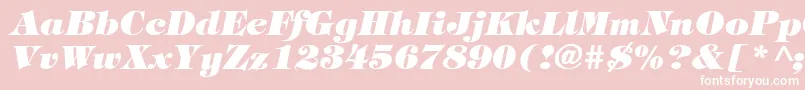 TiffanyHeavyItalic Font – White Fonts on Pink Background