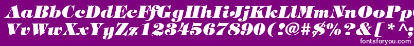 TiffanyHeavyItalic Font – White Fonts on Purple Background