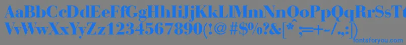 BodonirecutheavyRegular Font – Blue Fonts on Gray Background