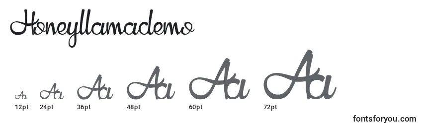 Honeyllamademo Font Sizes