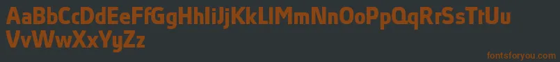 AbsolutProBoldReduced Font – Brown Fonts on Black Background