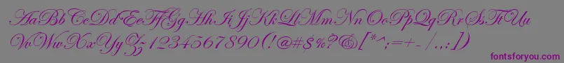 fuente EdwardianScriptItc – Fuentes Moradas Sobre Fondo Gris