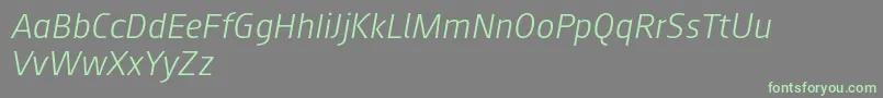 Augustsans46lightitalic Font – Green Fonts on Gray Background