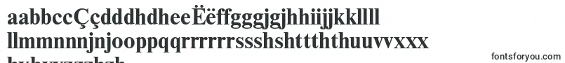 NewtonttBold Font – Nyanja Fonts