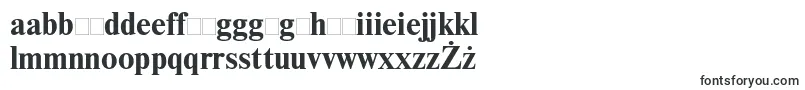 NewtonttBold Font – Maltese Fonts