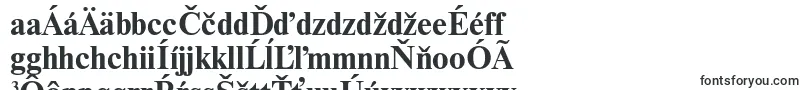 NewtonttBold-Schriftart – slowakische Schriften