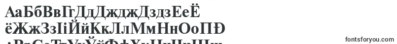 NewtonttBold Font – Belarusian Fonts