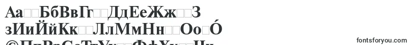 NewtonttBold Font – Uighur Fonts