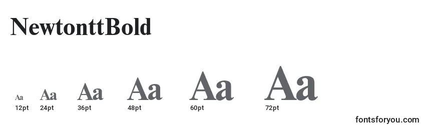 NewtonttBold Font Sizes