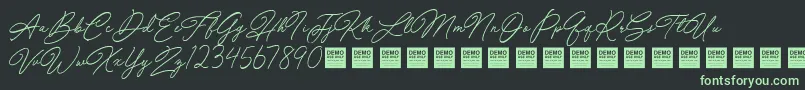 SpecialTouchDemo Font – Green Fonts on Black Background