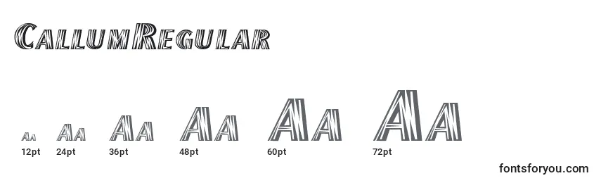 CallumRegular Font Sizes