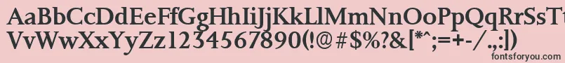 PalermoserialMediumRegular Font – Black Fonts on Pink Background