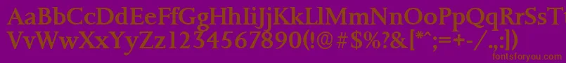 PalermoserialMediumRegular Font – Brown Fonts on Purple Background
