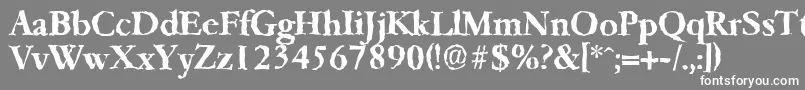 フォントGarfeldrandomBold – 灰色の背景に白い文字