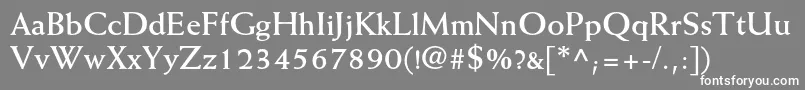 WeissstdBold Font – White Fonts on Gray Background