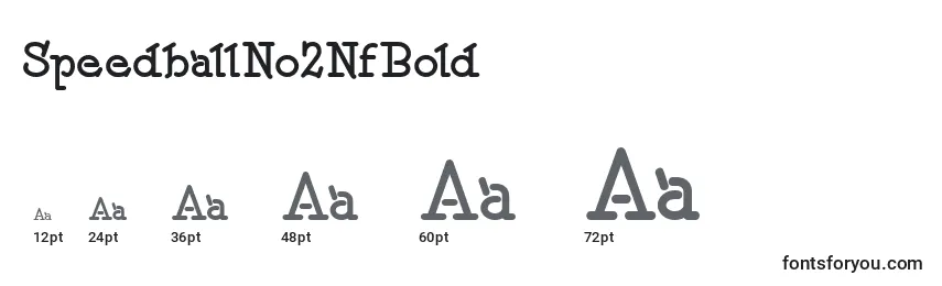 SpeedballNo2NfBold (101604) Font Sizes