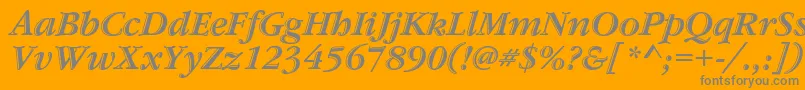 GaramondstdHandtooledbdit Font – Gray Fonts on Orange Background