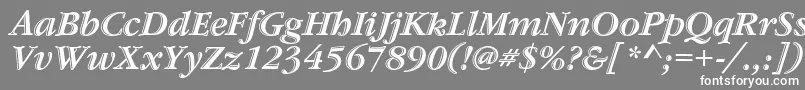 フォントGaramondstdHandtooledbdit – 灰色の背景に白い文字