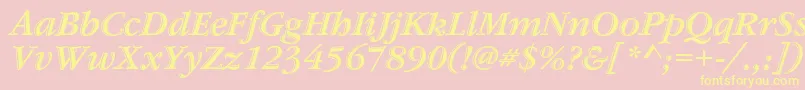 GaramondstdHandtooledbdit Font – Yellow Fonts on Pink Background